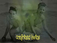 A fascination with conjoined twins: the soul and spirit they exhibit... a layered video vision