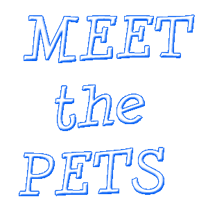 meet my pets